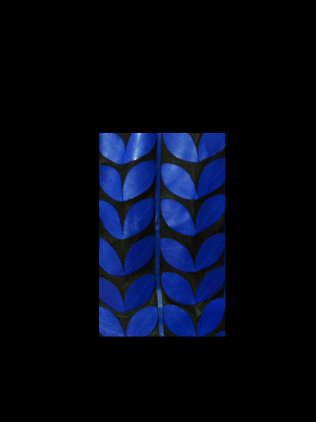 Blue Leather Leaf Jacket for Women Design 06 Genuine Short Zip Up Light Lightweight [ Click to See Photos ]